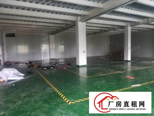  租金便宜，精装办公室绿色地坪漆清溪三中厂房出租1580平