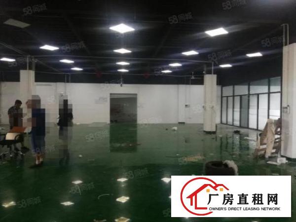  租金便宜，精装办公室绿色地坪漆清溪三中厂房出租1580平