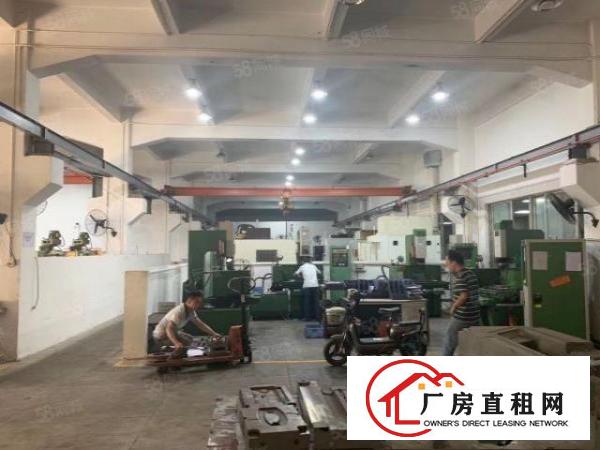  清溪新出原房东标准一楼750平方带行车低价急租