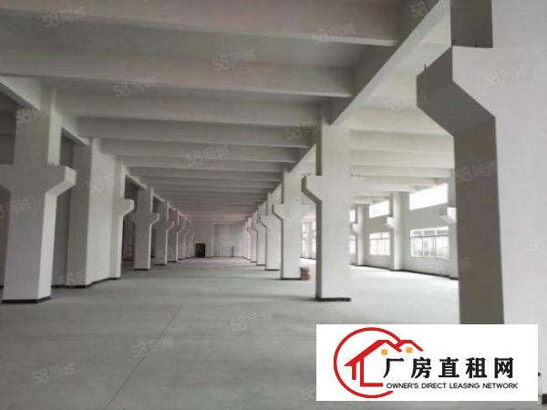  浮岗新出1380平一楼厂房，层高6米，适合架行车，招工容易