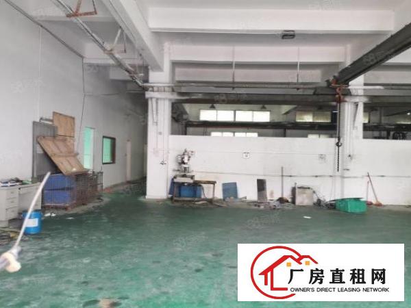  清溪谢坑原房东独院厂房出租一楼850平方可办环评带消防喷淋