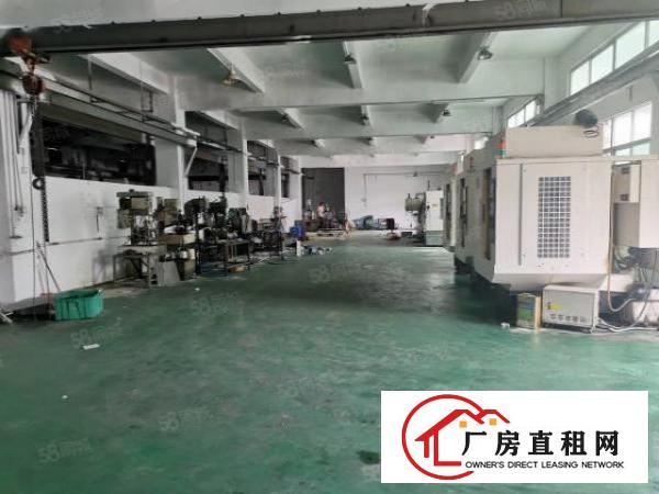  清溪谢坑原房东独院厂房出租一楼850平方可办环评带消防喷淋