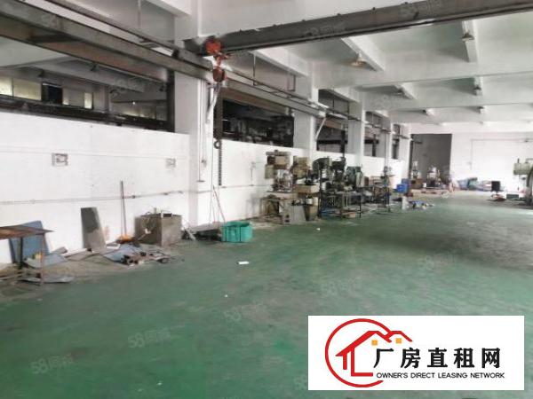  清溪谢坑原房东独院厂房出租一楼850平方可办环评带消防喷淋