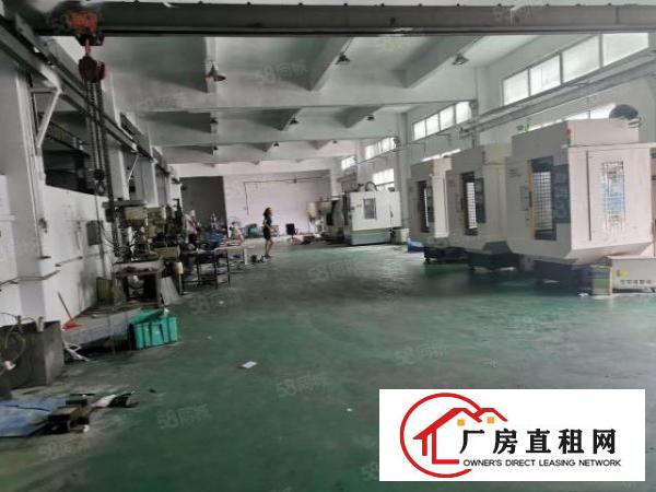  清溪谢坑原房东独院厂房出租一楼850平方可办环评带消防喷淋