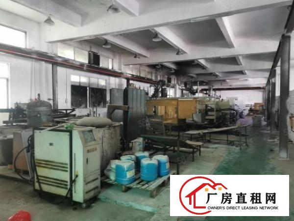  清溪谢坑原房东独院厂房出租一楼850平方可办环评带消防喷淋