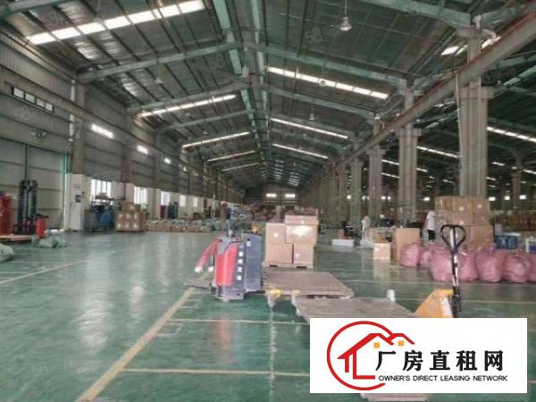  清溪镇单一层厂房出租，滴水10米带喷淋可做电商物流仓库