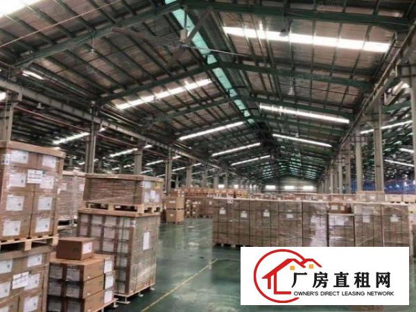  清溪镇单一层厂房出租，滴水10米带喷淋可做电商物流仓库