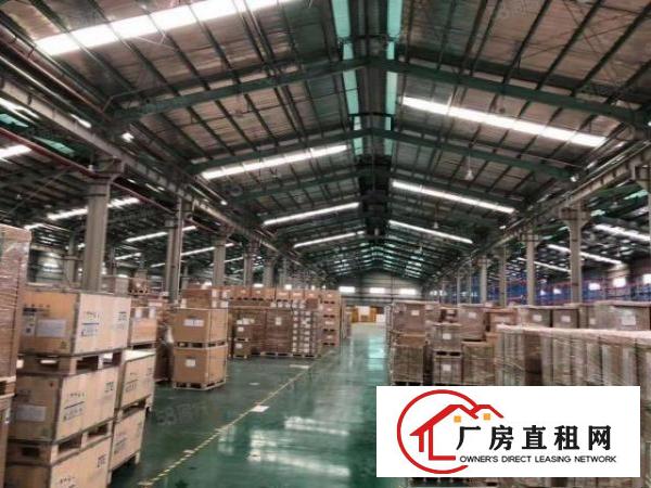  清溪镇单一层厂房出租，滴水10米带喷淋可做电商物流仓库