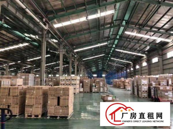  清溪镇单一层厂房出租，滴水10米带喷淋可做电商物流仓库