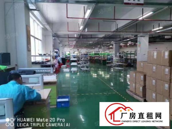  清溪新出原房东二楼1820平方两部超大货梯出租