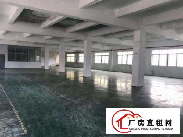  清溪谢坑大小面积出租一楼二楼，现成办公室有地坪漆