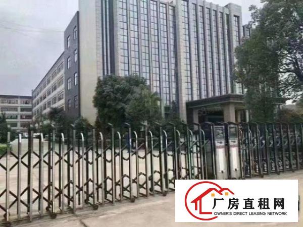  实业客厂房出租，大小可分