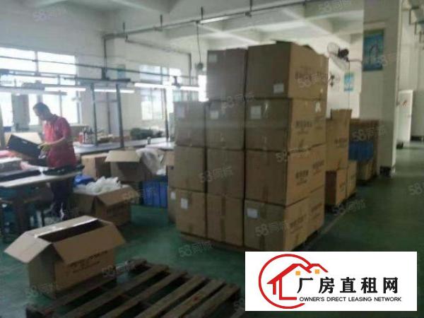  清溪松岗工业园厂房小面积分租二楼450平带装修办公室证件齐全