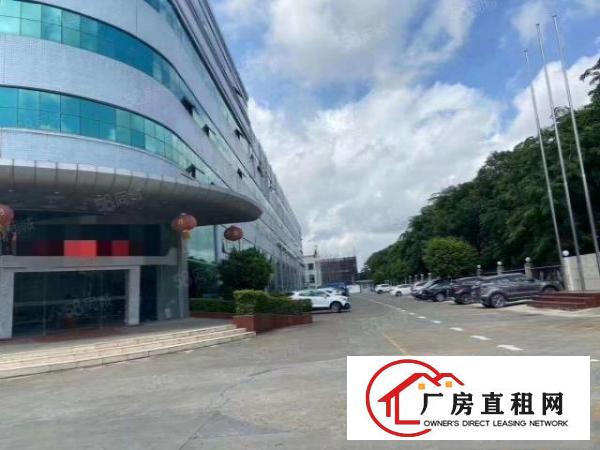  清溪近塘厦高速出口附近标准一楼2000平。层高7米，带牛角