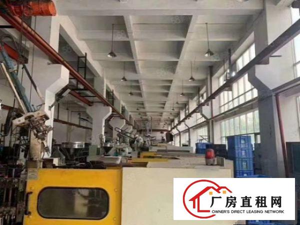  清溪近塘厦高速出口附近标准一楼2000平。层高7米，带牛角