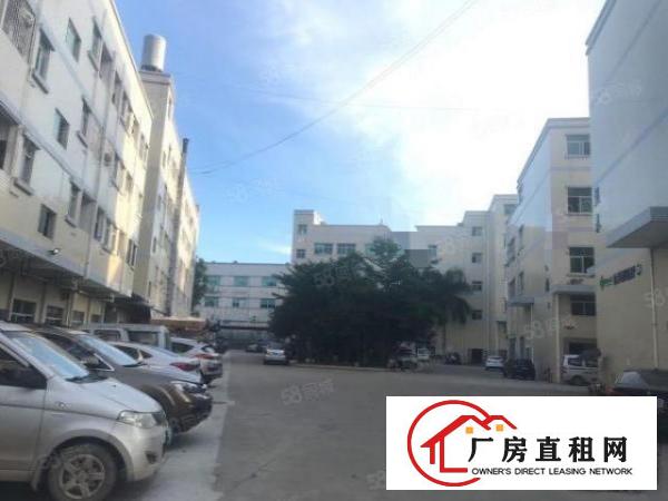  清溪镇三中原房东新出一楼1000平高速路口500米！