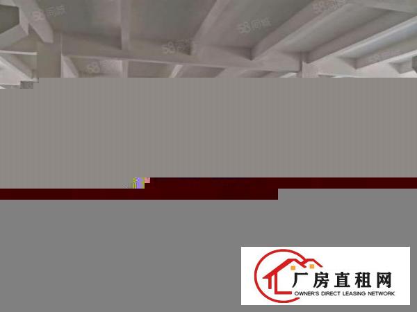  清溪全新独院单一层砖墙6米高厂房2200平招租带牛角