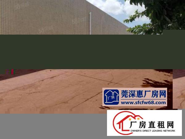  清溪全新独院单一层砖墙6米高厂房2200平招租带牛角