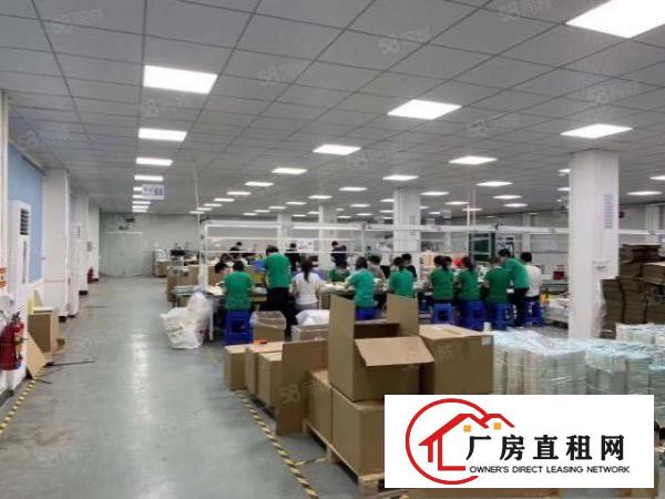  清溪谢坑新出二三楼各1300平带装修厂房出租可办环评