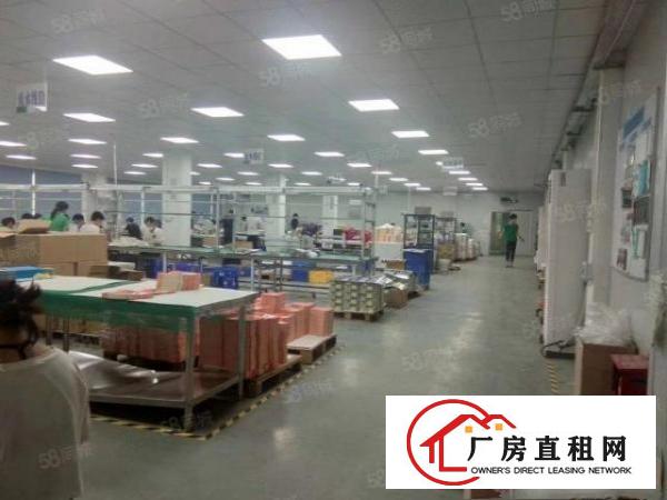  清溪谢坑新出二三楼各1300平带装修厂房出租可办环评