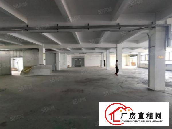  清溪三中原房东标准二楼厂房1100平招租可分租可办环评