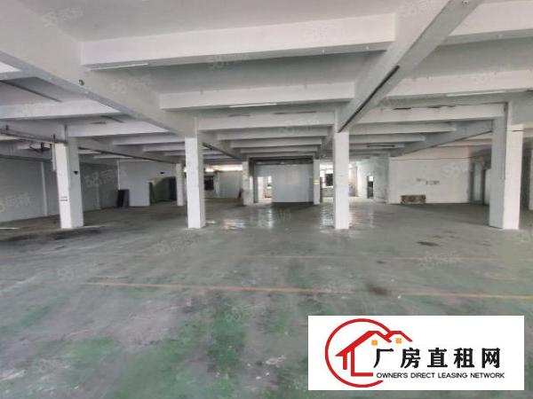  清溪三中原房东标准二楼厂房1100平招租可分租可办环评