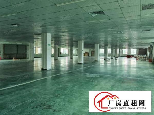  清溪谢坑新出楼上1800平方带现成地坪漆吊顶电子客户拎包入住