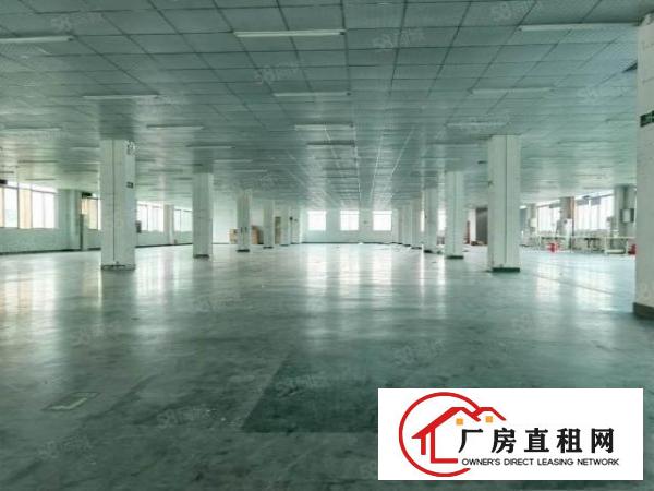  清溪谢坑新出楼上1800平方带现成地坪漆吊顶电子客户拎包入住