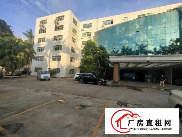  清溪三中原房东标准一楼红本厂房800平招租现成办公室水电齐全