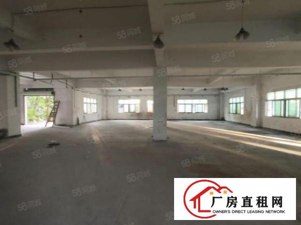  清溪三中原房东标准一楼红本厂房800平招租现成办公室水电齐全