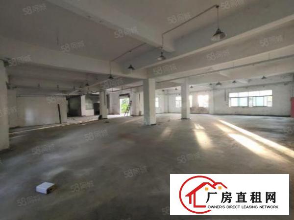 清溪三中原房东标准一楼红本厂房800平招租现成办公室水电齐全
