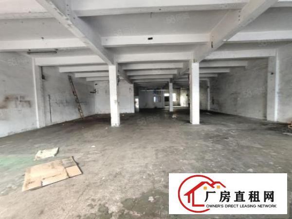  清溪三中原房东标准一楼红本厂房800平招租现成办公室水电齐全