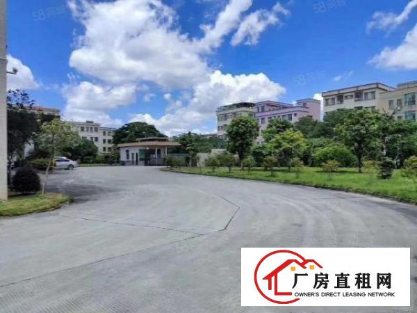  清溪新出院玻璃幕墙原房东单一层独院，滴水9米带消防喷淋