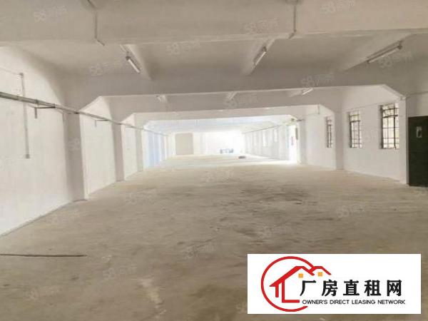  清溪新出一层2600平厂房，为长条形，适合各个非重污染行业