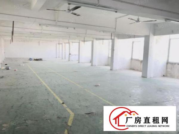  清溪新出一层2600平厂房，为长条形，适合各个非重污染行业
