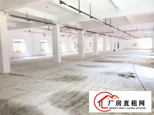  清溪新出一层2600平厂房，为长条形，适合各个非重污染行业