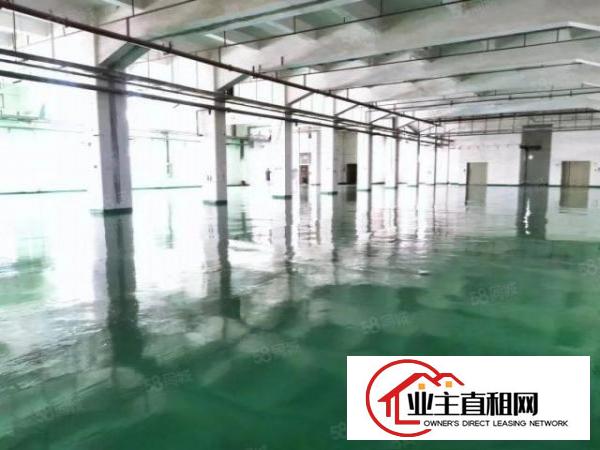  清溪三中近凤岗塘厦标准一楼2600平方滴水7.5米水电到车间