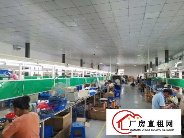  清溪谢坑原房东厂房二楼1500现成装修电子行业的福音