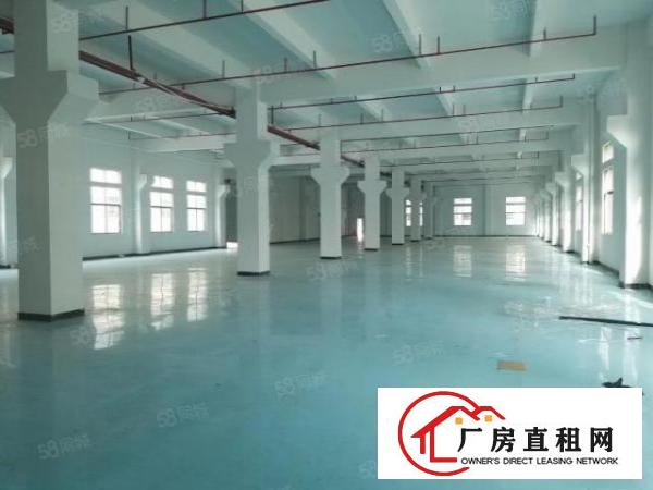  清溪新出原房东小独院4500平方带装修低价急租