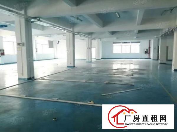  清溪新出原房东小独院4500平方带装修低价急租