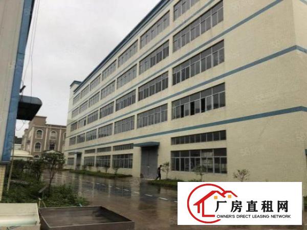  清溪原房东厂房出租2楼2360平方水电齐全，现成豪华办公室。
