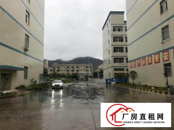  清溪原房东厂房出租2楼2360平方水电齐全，现成豪华办公室。