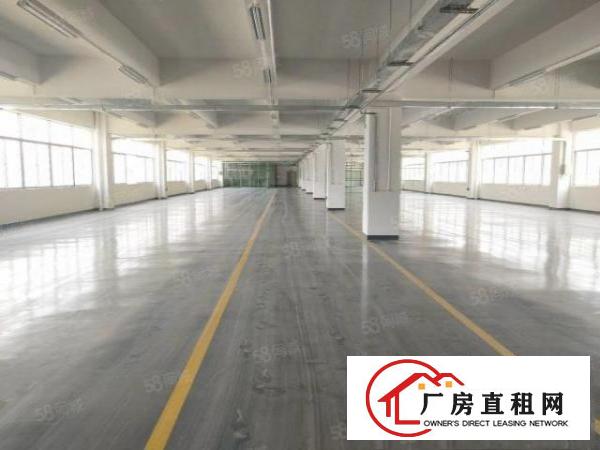  清溪原房东厂房出租2楼2360平方水电齐全，现成豪华办公室。