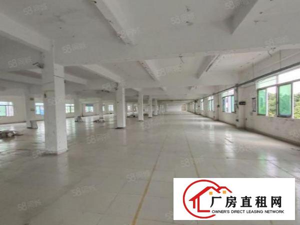  清溪谢坑标准红本二楼厂房3500平现成装修水电齐全可办环评