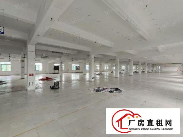  清溪谢坑标准红本二楼厂房3500平现成装修水电齐全可办环评