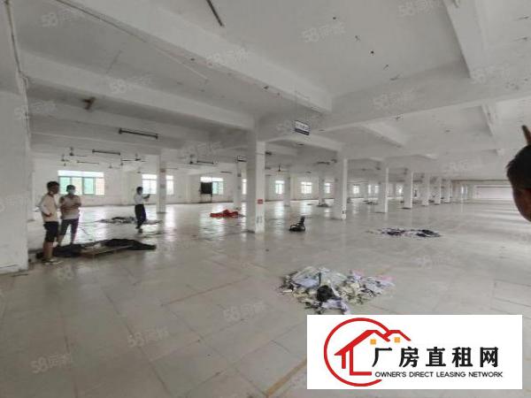 清溪谢坑标准红本二楼厂房3500平现成装修水电齐全可办环评