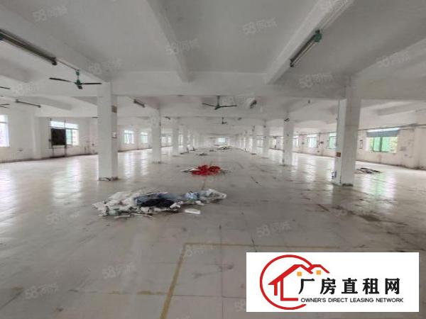  清溪谢坑标准红本二楼厂房3500平现成装修水电齐全可办环评