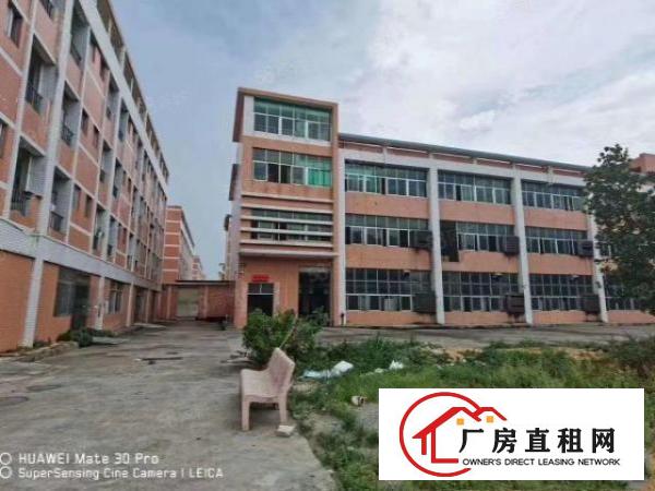  清溪三中原房东一楼带航车水电装修2800平厂房出租无公摊