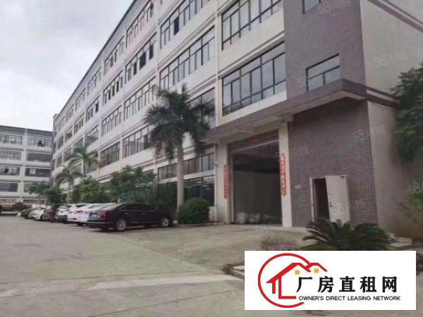  楼上原房东实际面积3600平招租！