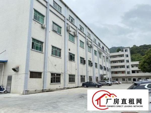  豪华装修厂房清溪新出楼上2188平方带装修原房东厂房
